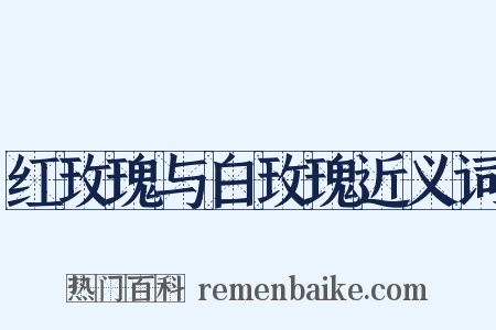 红玫瑰与白玫瑰近义词是什么意思的图片